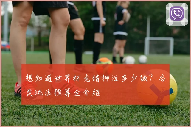 想知道世界杯竞猜押注多少钱？各类玩法预算全介绍