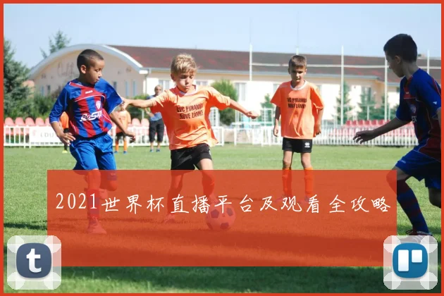 2021世界杯直播平台及观看全攻略