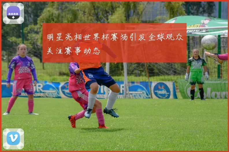 明星亮相世界杯赛场引发全球观众关注赛事动态