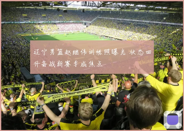 辽宁男篮赵继伟训练照曝光 状态回升备战新赛季成焦点