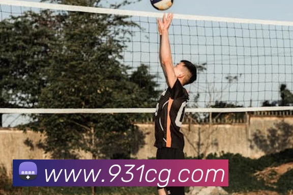 39153电子游戏k1官网(中国) - 官方网站平台生态图